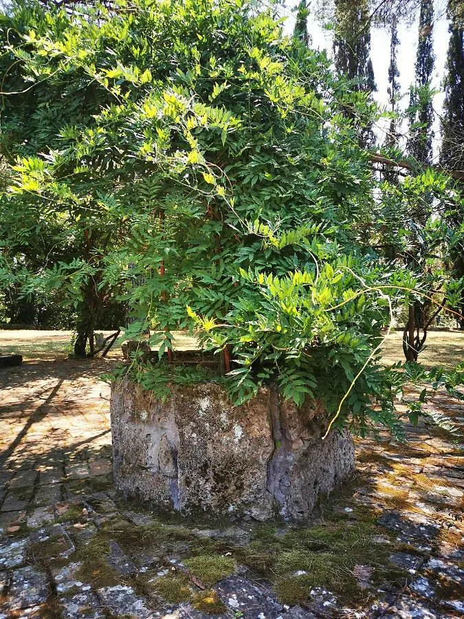 Holiday home Villa Isola Farnese Parco Di Veio Rome